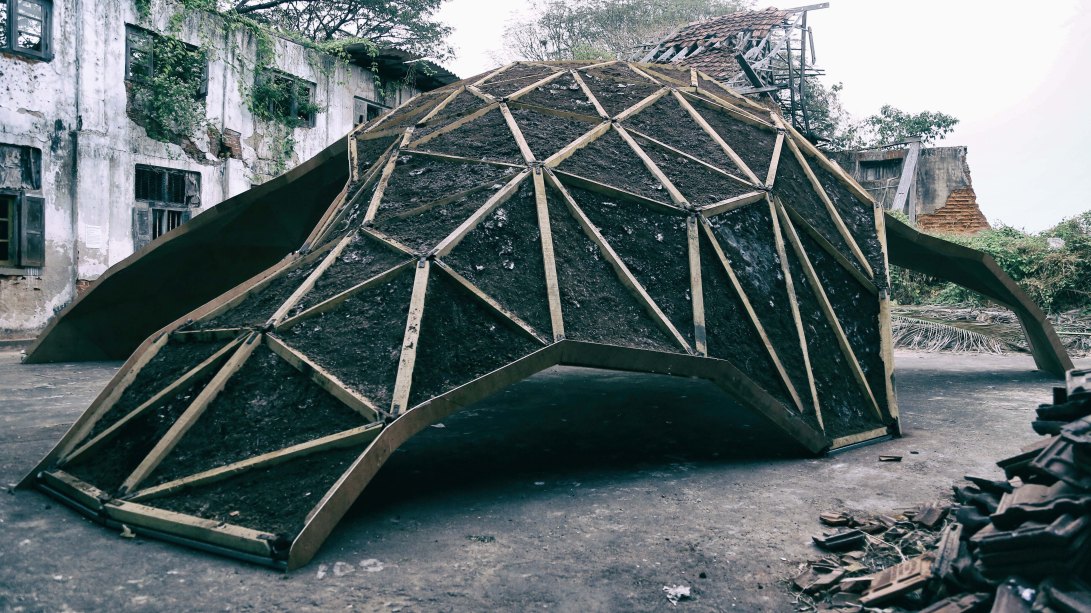 SHELL MYCELIUM_WIEV 6